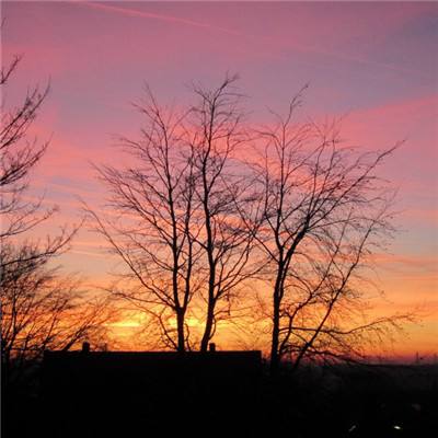 网易彩票最新版下载app